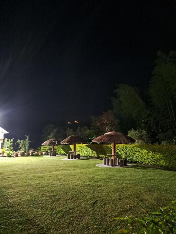 Amalu Country house *
