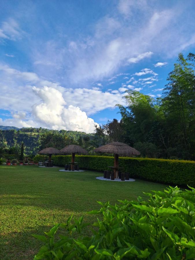 Country house Amalu