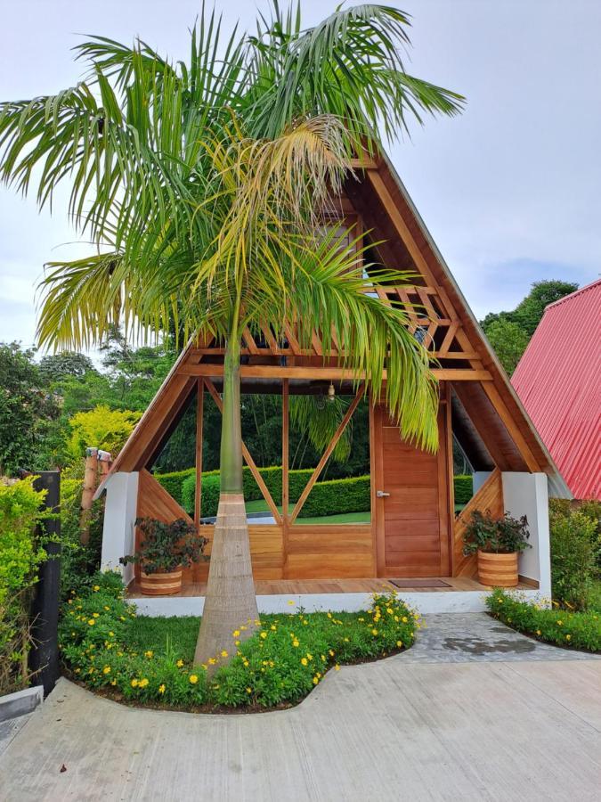 Amalu Country house *